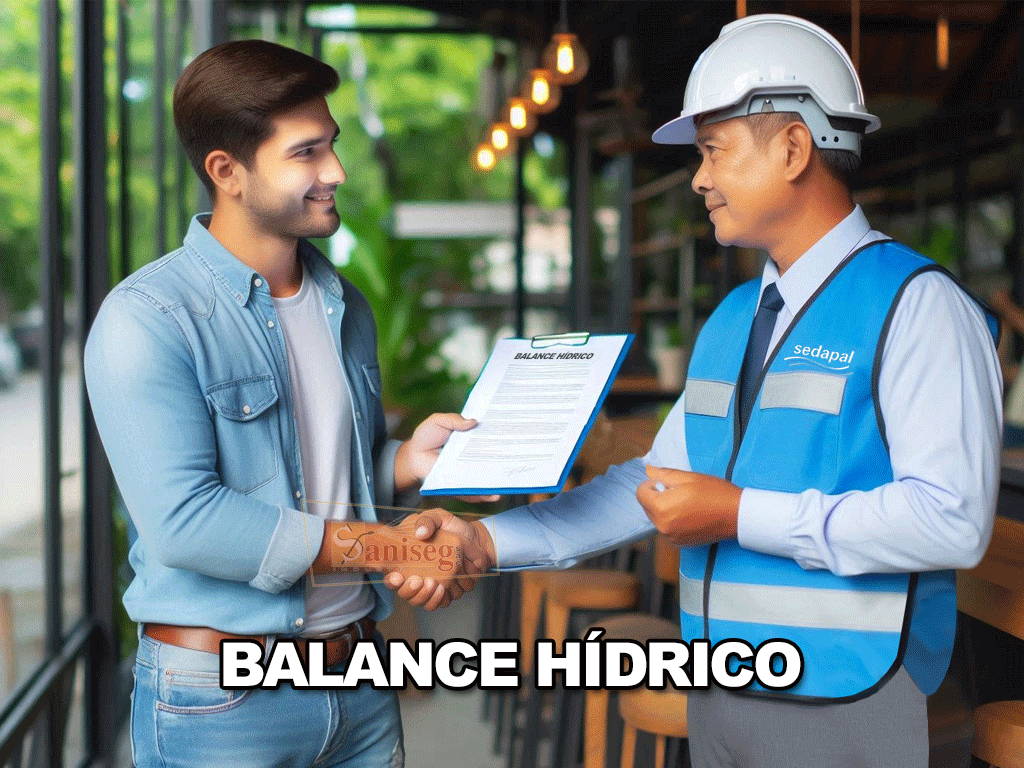 Balance Hidrico Presentacion de documento SEDAPAL Valores Maximos admisibles Usuario no domestico UND SANISEG