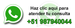 Contactanos Saniseg
