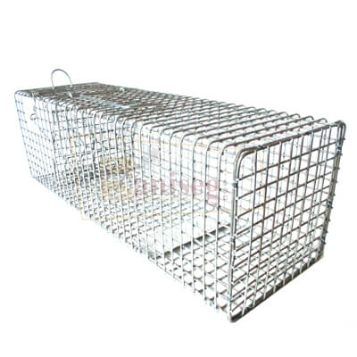 trampa para ratas tipo Tomahawk, trampa para roedores