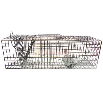 trampa para ratas tipo Tomahawk, trampa para roedores