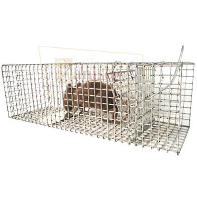 trampa para ratas tipo Tomahawk, trampa para roedores