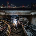 costos de una plaga en una empresa saniseg desratizacion control de roedores